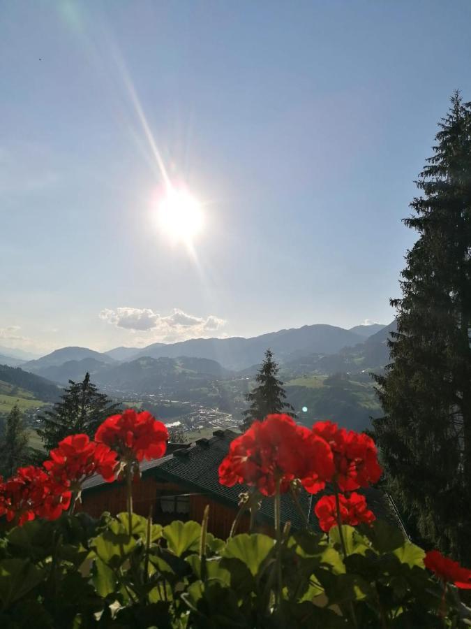 Ferienhaus Deutschmann Sankt Johann im Pongau Εξωτερικό φωτογραφία